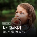 100억 PC | 윅스 홈페이지 WIX.com, 실제로 써본 후기와 솔직한 장단점 총정리