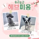 비헤브 네이버블로그
