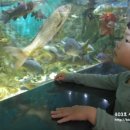 범서생활체육공원 2 이미지