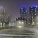안개비