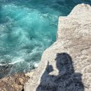 (주) 씨푸드락 | Honeymoon, Day 7, Sydney