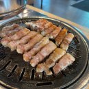 준코-제주 | [제주공항 근처 흑돼지 맛집] 제주고집 점심 후기: 다다익고 브레이크 타임 덕분에 발견한 인생 맛집