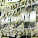 [여수] 여수에 가면 꼭 먹어야 할 3가지 음식、 (서대회, 게장, 장어샤브샤브) 이미지