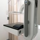 아몬드 몽몽 | 2026.02.22 (일) - 정기 초음파, 설날, 건강검진, 베이킹 굽굽, 영커피 우유, 두통 패턴, 제트스트림...