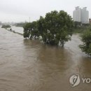 금구천 옥천-7 연합뉴스