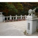 365계단 Daum카페