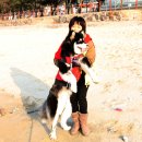 우리바다 이미지