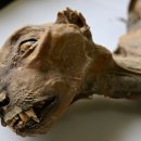 People Who Lost Love 이미지