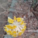 유유자적 이미지