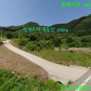 설천면010 Daum카페