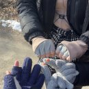 일미통닭 이미지