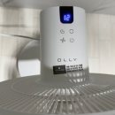 올리 | [내돈내산] 무소음 선풍기 추천 | 분리형 가성비 올리(OLLY) 선풍기 후기 및 조립 주의사항