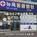 뉴욕동물병원 이미지