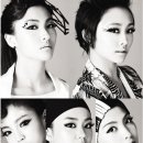 카라2 이미지