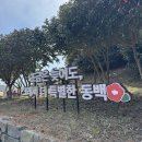 다사랑헤어 | 충남가볼만한곳 서천 동백꽃축제 동백나무숲 입장료 후기