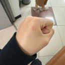 복음양지아파트30480) | 너와 내 낭만을 잃지 않게