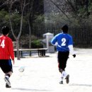 서울대청초등학교 이미지