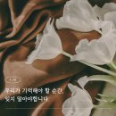 5.18 민주화운동, 우리가 기억해야 할 것은?