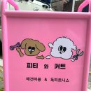 피티 와 커트 이미지