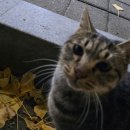 세명건강랜드 | 2025_11 : 먹고 아프고 먹고 놀고