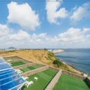 해일리 풀앤스파 이미지