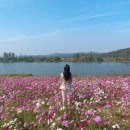 진안읍 1416 이미지