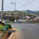 상리마을 이미지