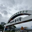 양재화훼공판장 화장실 | 서초 양재 꽃시장 꽃다발 저렴하게 구매한 "플라워스토리" 서초 양재 화훼공판장 방문후기