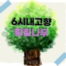 손오공농장 이미지