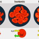 우리기전 이미지