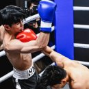 한국복싱진흥원 복싱아카데미 이미지