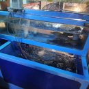 죽도민물매운탕 이미지