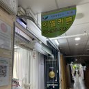 이엘갤러리 | 양동시장 커튼 <이엘커튼갤러리> 거실 안방 내돈내산 만족 후기
