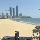 화려한 날의 오후 | 부산 해운대 웨스틴조선호텔 뷔페 까밀리아 평일런치 주차 솔직후기