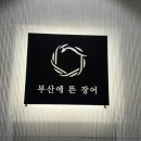 부산에 뜬 장어 이미지