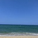 감자창고 이미지