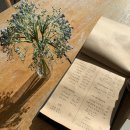 산책하는 고양이 이미지