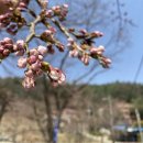 화이트스톤 골프연습장 이미지