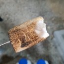바베큐보스 네이버블로그