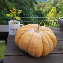 풍수지리(양택 / 주택) 이미지