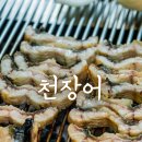 풍천장어셀프구이 | 제주 제주시 장어 맛집 천장어 제주 풍천장어 1kg 숯불구이 후기