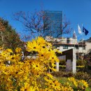 파란나라유치원 이미지