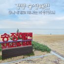 강릉 송정해수욕장 개장일, 송정해변 물놀이와 강릉바우길 산책