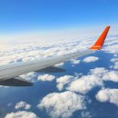 한동리브로콜리 이미지