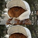 행운동-5 이미지