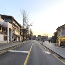 지금부터 한 걸음 도심 속 러닝 | 강아지런 8.7km 슬로우조깅 – 정독도서관 출발, 서울 도심 대표 명소 러닝 후기 gpx