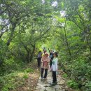 대원민박 이미지