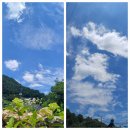 [주간메일 337] 굿 밤! 입니다. 이미지