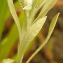 서곡초등학교 이미지