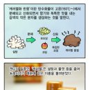 성대식품 이미지